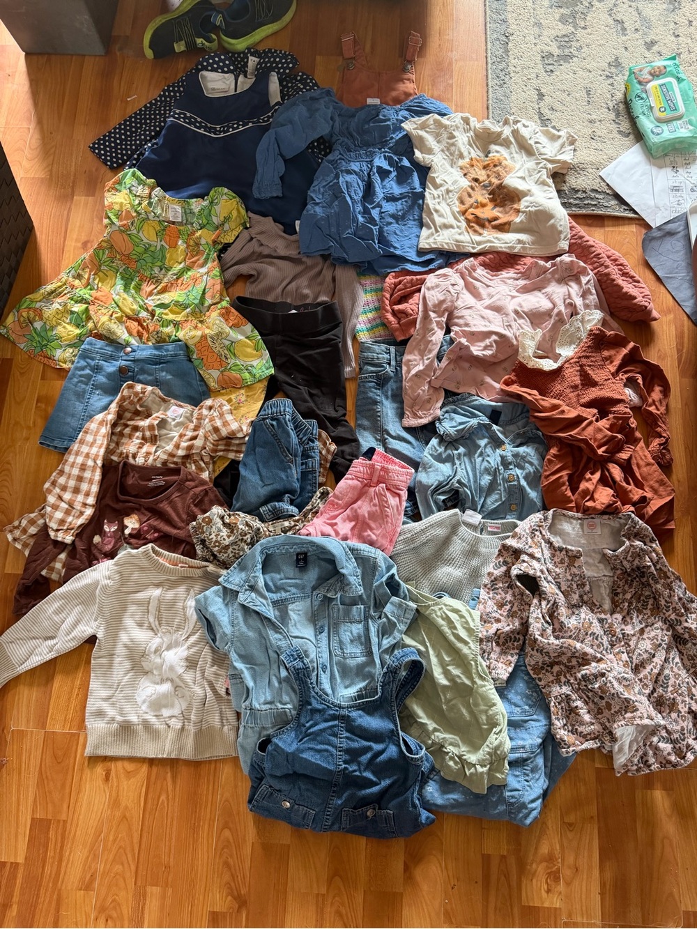 Big Lot of 3T Girls Clothing, Mostly Fall